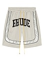 view 5 of 5 Baggy Mesh Collegiate Logo Shorts in Grey & Silver