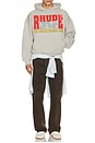 view 5 of 5 The Desert Decides Hoodie in Heather Grey, Red, & Multi