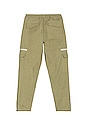view 2 of 4 Cargo Pants in Green