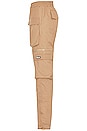 view 4 of 4 Classic Cargo Pants in Tan