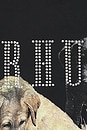 view 3 of 4 Rhinestone Hunting Dog Tee in Vintage Black