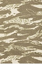 view 5 of 5 Tiger Camo Double Layer Tee in Camo & White