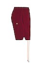 view 3 of 5 Logo Swim Shorts in Bordeaux
