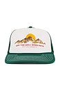 view 1 of 2 Hills Trucker Cap in Pine