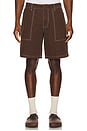 view 6 of 7 Carpenter Canvas Shorts in Chocolate