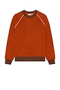 view 4 of 4 Pipe Polar Crewneck Pullover in Burnt Orange