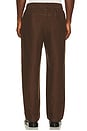 view 3 of 5 Palmer Pant in Burnt Tobacco