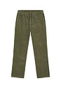 view 5 of 6 Cord Jam Pant in Olive