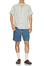 view 5 of 5 Vacation Stripe Shirt in Fern