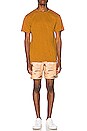 view 5 of 5 Basic Slub Tee in Almond