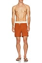 view 5 of 6 Heritage Trunk in Burnt Orange