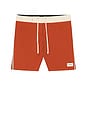 view 6 of 6 Heritage Trunk in Burnt Orange