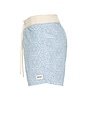 view 3 of 5 Vera Swim Trunk in Sky