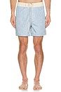 view 5 of 5 Vera Swim Trunk in Sky