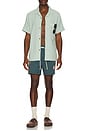 view 7 of 7 Heritage Flower Swim Trunks in Slate