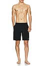 view 6 of 6 Leo Panel Beach Shorts in Black