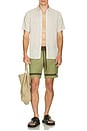 view 5 of 5 MAILLOT DE BAIN in Sage