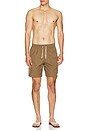 view 4 of 6 Heritage Swim Short in Taupe