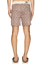 view 2 of 5 Heritage Java Swim Trunk in Chocolate