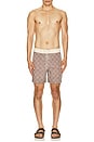 view 3 of 5 Heritage Java Swim Trunk in Chocolate