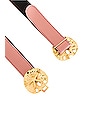 view 3 of 4 Sand Dollar Belt in Pink