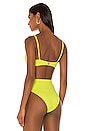 view 3 of 4 Jax Bikini Top in Kiwi