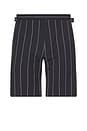 view 1 of 5 Vine Pinstripe Shorts in Navy