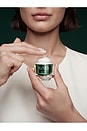 view 3 of 7 Renewal Moisturizing Eye Cream in 