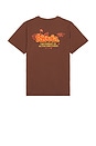 view 1 of 4 Floral Pursuit T-Shirt in Brown