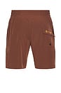 view 2 of 6 Daily Ride Puffer Swim Short in Brown