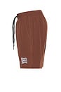 view 4 of 6 Daily Ride Puffer Swim Short in Brown