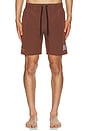 view 5 of 6 Daily Ride Puffer Swim Short in Brown