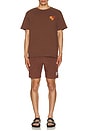 view 6 of 6 Daily Ride Puffer Swim Short in Brown