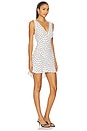 view 2 of 4 Leighton Dress in Bohemia Spot Ivory