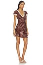 view 2 of 3 Cely Dress in Layla Dot Brown