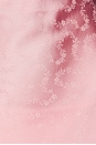 view 4 of 4 VESTIDO ALBERTA in Floral Trail Jacquard Pink