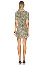 view 4 of 4 Kylie Dress in Miley Leopard Beige