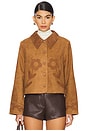 view 2 of 5 Dionne Jacket in Retro Tan