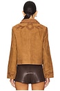 view 4 of 5 Dionne Jacket in Retro Tan