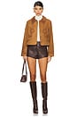 view 5 of 5 Dionne Jacket in Retro Tan