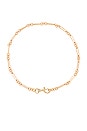 view 1 of 2 Signature Dog Clip Chain Necklace in Gold