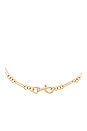 view 2 of 2 Signature Dog Clip Chain Necklace in Gold