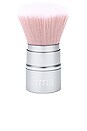 view 1 of 1 Living Glow Face & Body Powder Brush in 