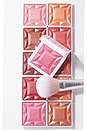 view 9 of 9 ReDimension Hydra Powder Blush in French Rose