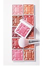 view 9 of 9 Redimension Hydra Powder Blush in Bermuda Rose