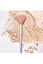 view 2 of 4 Skin2skin Classic Fan Brush in 