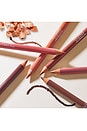 view 10 of 10 Go Nude Lip Pencil in Nighttime Nude