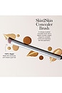 view 2 of 4 Skin2Skin Concealer Brush in 