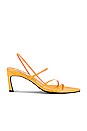 view 1 of 5 3 Strappy Pointed Sandals in Mandarine