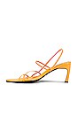 view 5 of 5 3 Strappy Pointed Sandals in Mandarine